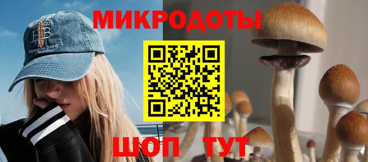 Алапаевск  Галлюциногенные грибы прущие грибы  Вход с VPN 